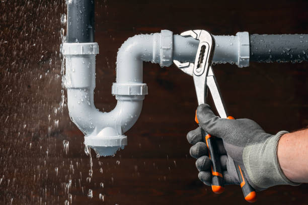 Professional Plumbing technician working in Theresa, WI